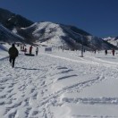 wx_青松1363992399166
