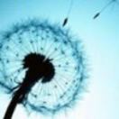 用户22271507的头像-博士钣金 - www.bsbanjin.com