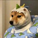 随心。