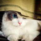 且风且吟的头像-长游分享网