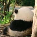 暖之暄晖🇨🇳