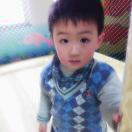 蓝眼泪