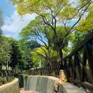 ohh的头像-日本！日本语