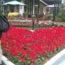 做南雄美食哈哈哈