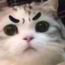 高為一一一二三四