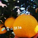 恬
