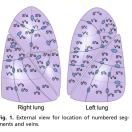 金海龙的头像-外科技术网