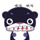 张先生的头像
