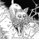 lnight_xiu's Avatar