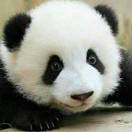 wwffnv's Avatar