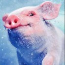 skypanda's Avatar