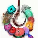 太瑞博的头像-cok论坛 - AGREE动漫游戏