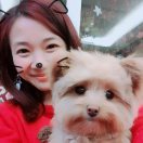 成成