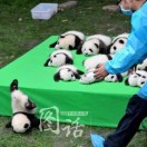龙纹剑