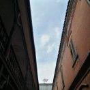 锋回路转-鑫涌木
