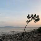 吴坚Kendon