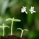 汪维龙