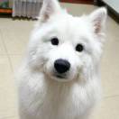 will的头像-创薯资源