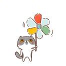 星Yu🍭