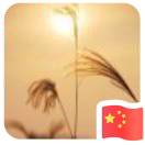 邹先生的头像