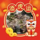老张