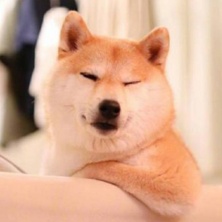 YYYY