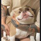 Joseph的头像-秀琴曲谱网