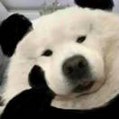 心系天下