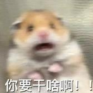 哇啊啊啊啊啊啊啊的头像-长游分享网