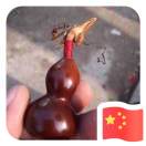 我知道你