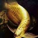 A0000龙虎泉风水