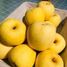 初阳岭家庭农场