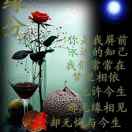 邵女士的头像