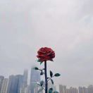 沈采奕奕💕ॐ
