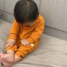 海