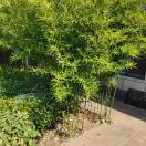 奋斗的头像-博士钣金 - www.bsbanjin.com