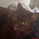 Park Square转租&房东直租