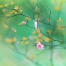 东方妙的头像-熵减岛