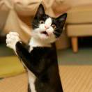 最后的最后。。？