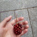 刘先生的头像