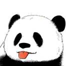Dr.丁