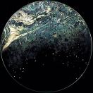 DQ   林怡文