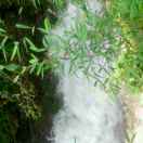 晟丰生物科技13739520901