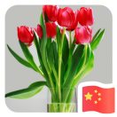 传递正能量