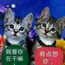 建安汇用户头像