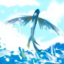 夏侯鶴飛