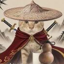 芝加哥(伊利诺伊州)求租