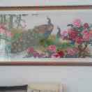 趁我还未老丽萍