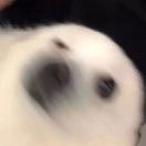 你