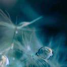 笑对人生的头像-博士钣金 - www.bsbanjin.com